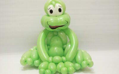 Balloon Art Design DVD 9