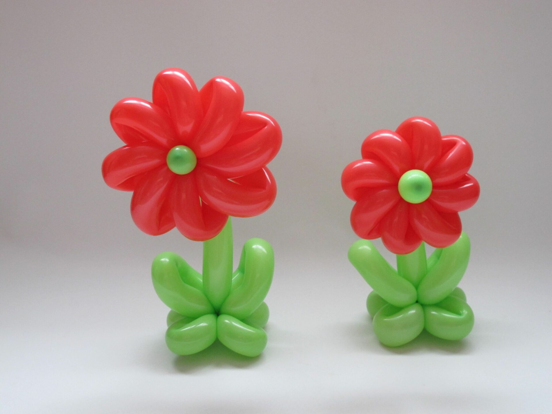 Eight Petal Flower