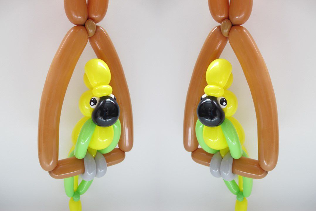Parrot